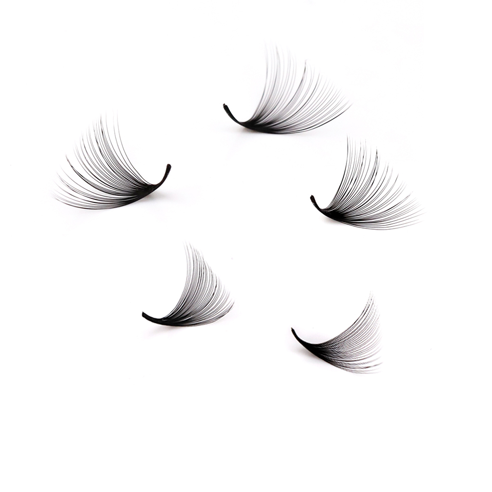 Lashprofessor XL Tray 3D 4D 5D - Mega Volume Lash recensie en prijs