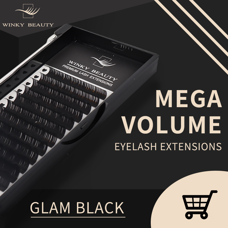 Winky Beauty Op maat uw logo I - Eyelash Extension Logo recensie en prijs
